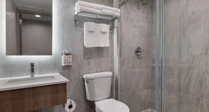 Holiday Inn Express & Suites BRONX - NYC Room Type - Premium Room