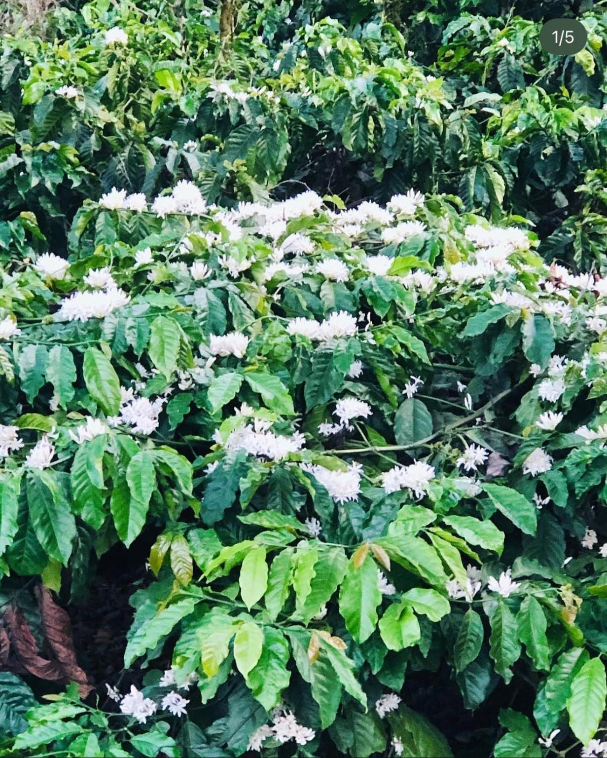Prashi Homestay - Tap to explore photos
