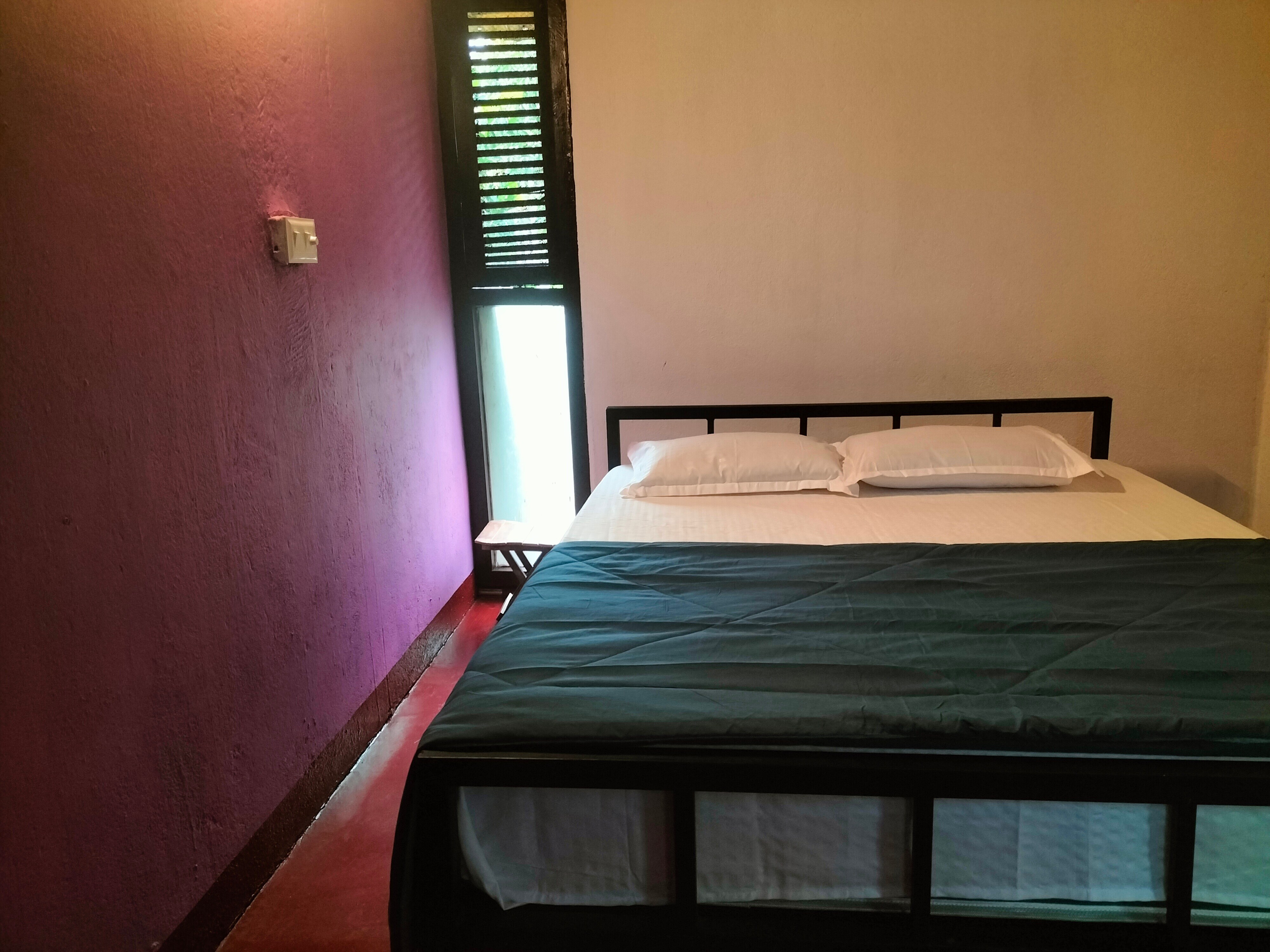 Oryza - Tap to explore photos