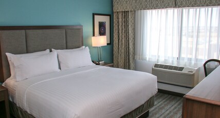 Holiday Inn Hotel & Suites DENVER TECH CENTER-CENTENNIAL Room Type - 1 King Suite