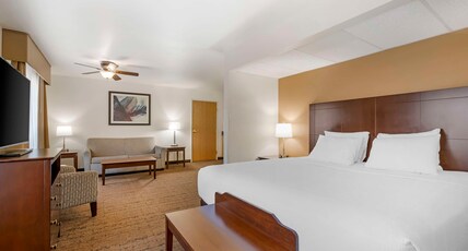 BEST WESTERN YELLOWSTONE CROSS Room Type - 1 King Bed, Non-Smoking, Sofabed, Wireless High-Speed Internet, Full Breakfast