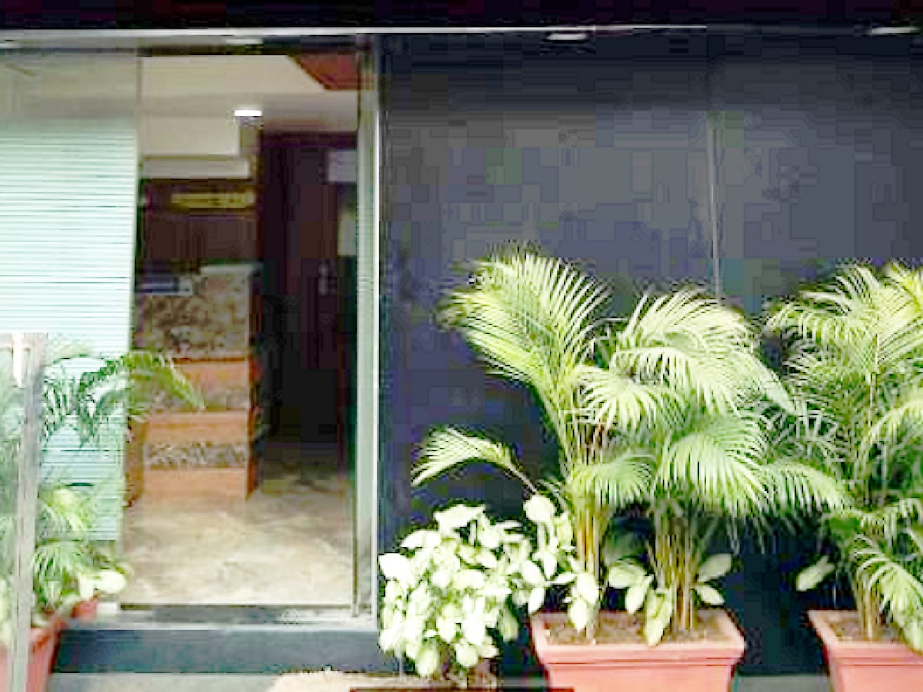 Main gallery