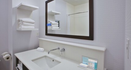 Hampton Inn Commerce/Novi Room Type - 1 KING W SOFABED NS