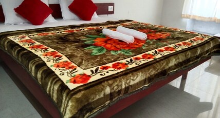 Sunderban Tigar Residency Room Type - DELUXE AC ROOM