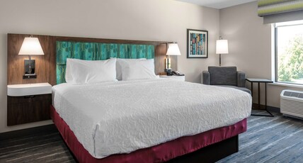 Hampton Inn & Suites by Hilton Avon Indianapolis Room Type - KING W  FRIDGE MICROWAVE