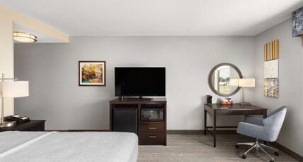 Hampton Inn & Suites by Hilton Douglas Room Type - 1 KING MICROWV FRIDGE NS