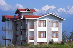 RETREAT CRASSULA OVATA