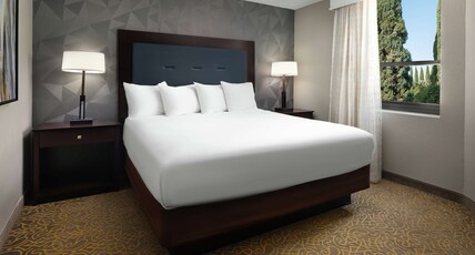 Embassy Suites by Hilton Tucson East Room Type - 1 KING 2 RM STE FIREPLACE