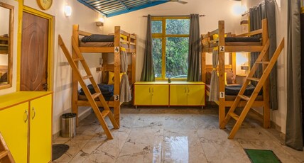 The Hosteller Mussoorie By the Streamside, Kempty Room Type - Bed in 4 Bed Female Dormitory with Balcony and Mountain View