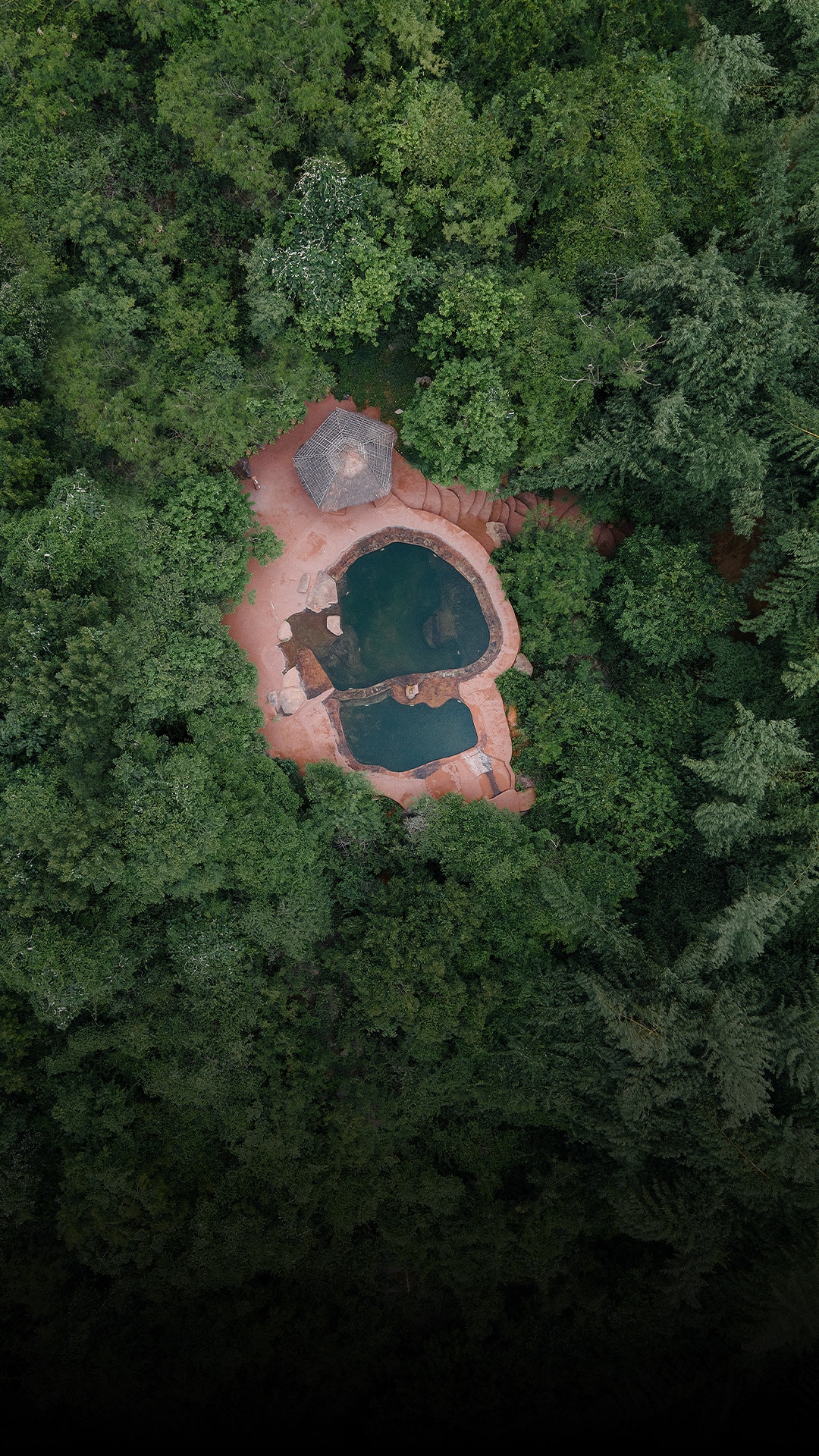 HAMPI'S WHISKERS RESORT - Tap to explore photos