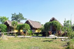 AVA Resort
