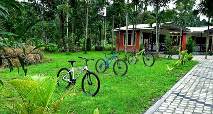 Rainy Cloud Homestay Room Type - Premium Cottages