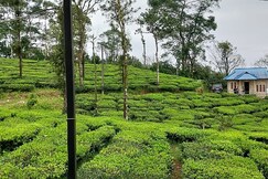 Tea Garden Vagamon
