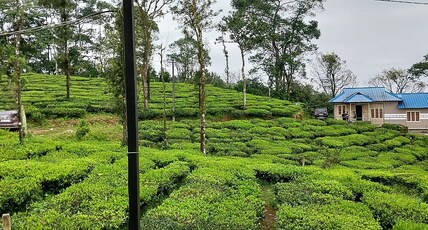 Tea Garden Vagamon Room Type - Tea Garden Vagamon