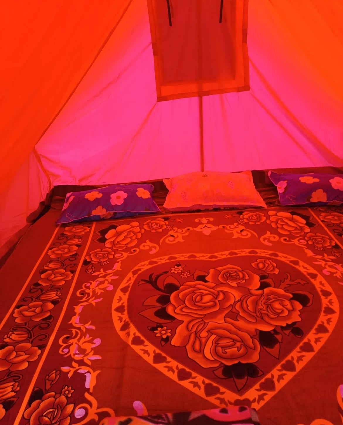 Andys homestay and Camps - Tap to explore photos