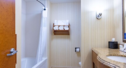 Hampton Inn by Hilton Alice Room Type - 1 KING BED NONSMOKING