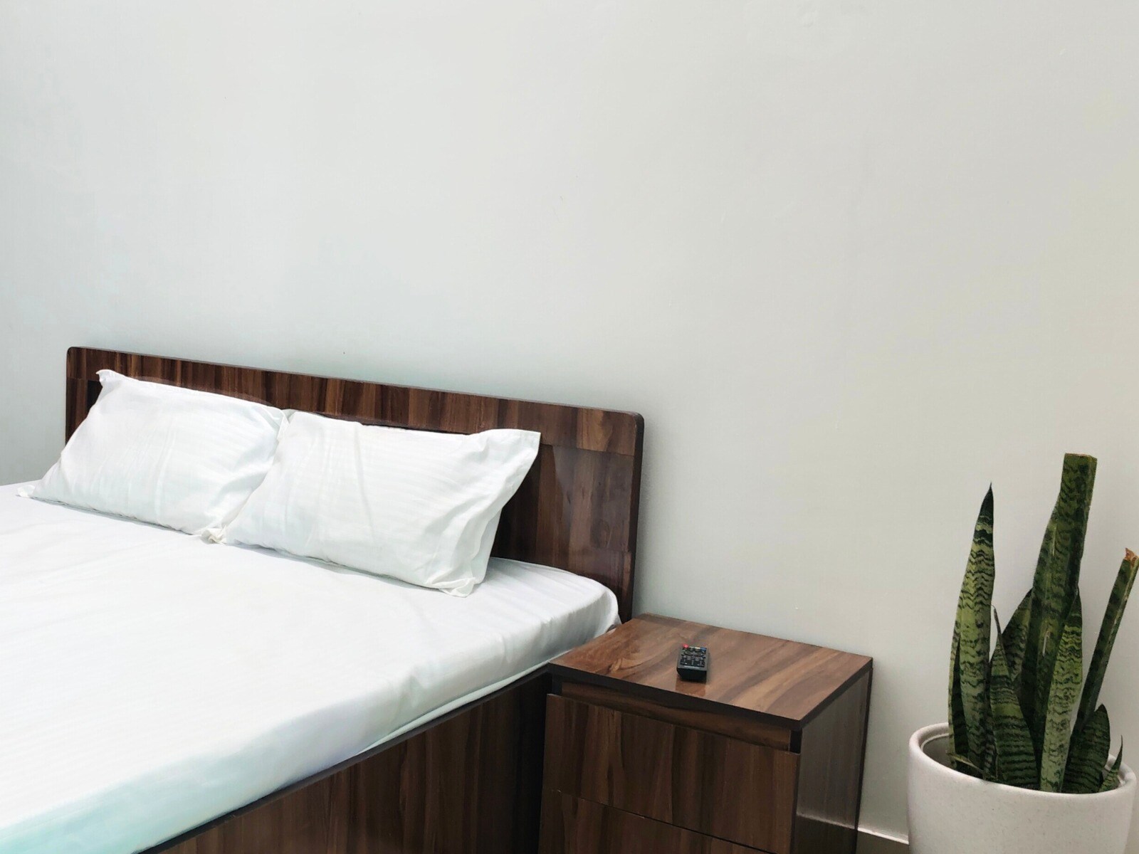 Sanganeri Airport Homestay - Tap to explore photos