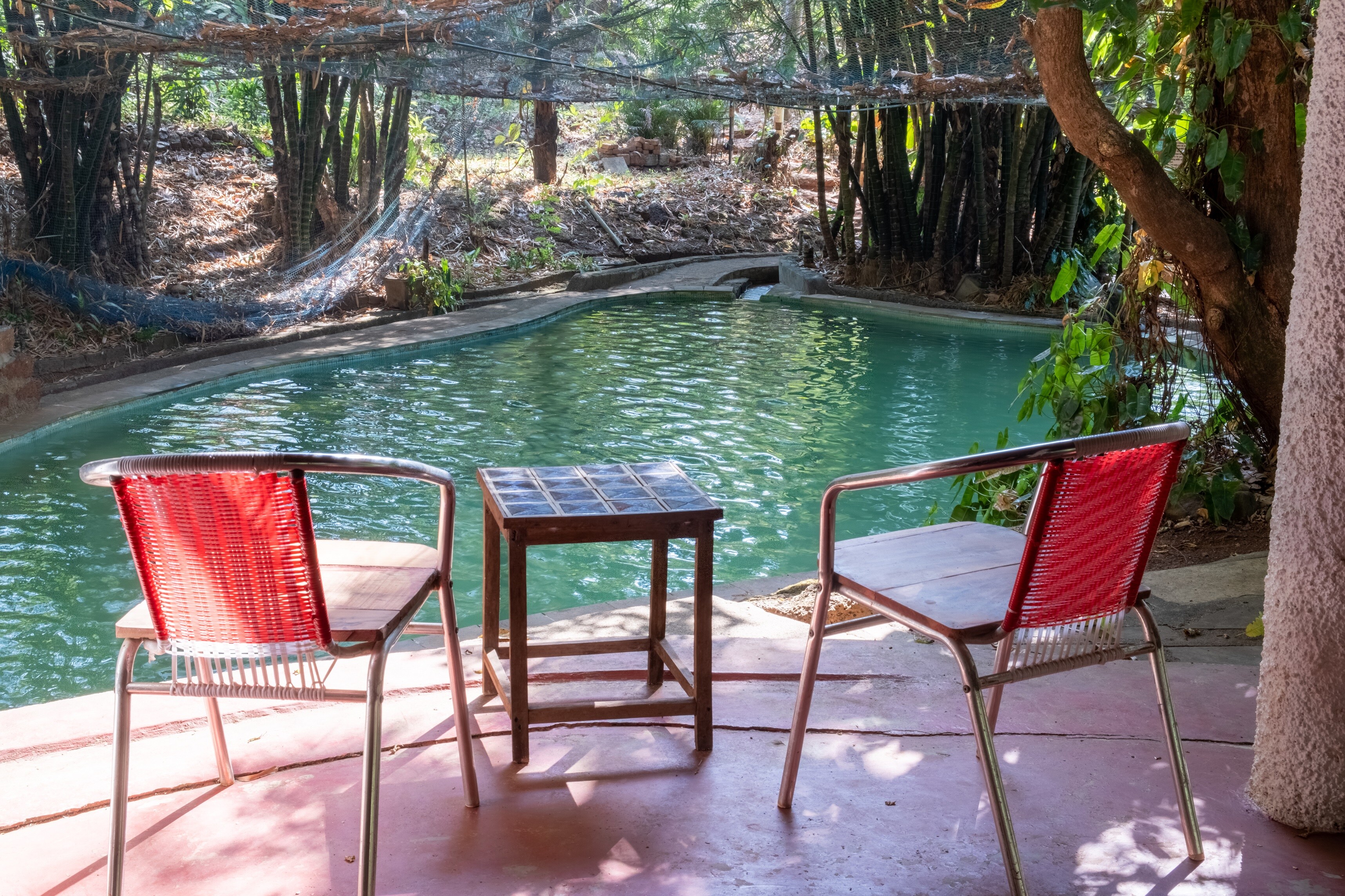 Mangaal Farmstay | Rooms & Swimming Pool - Tap to explore photos
