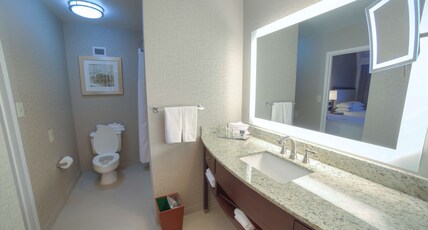 DoubleTree Suites by Hilton Atlanta - Galleria Room Type - 1KNG 2RM STE BALCONY NOSMK