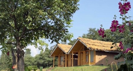 Royale Peaks (Sonmarg Road) Room Type - Mountain View Cottage