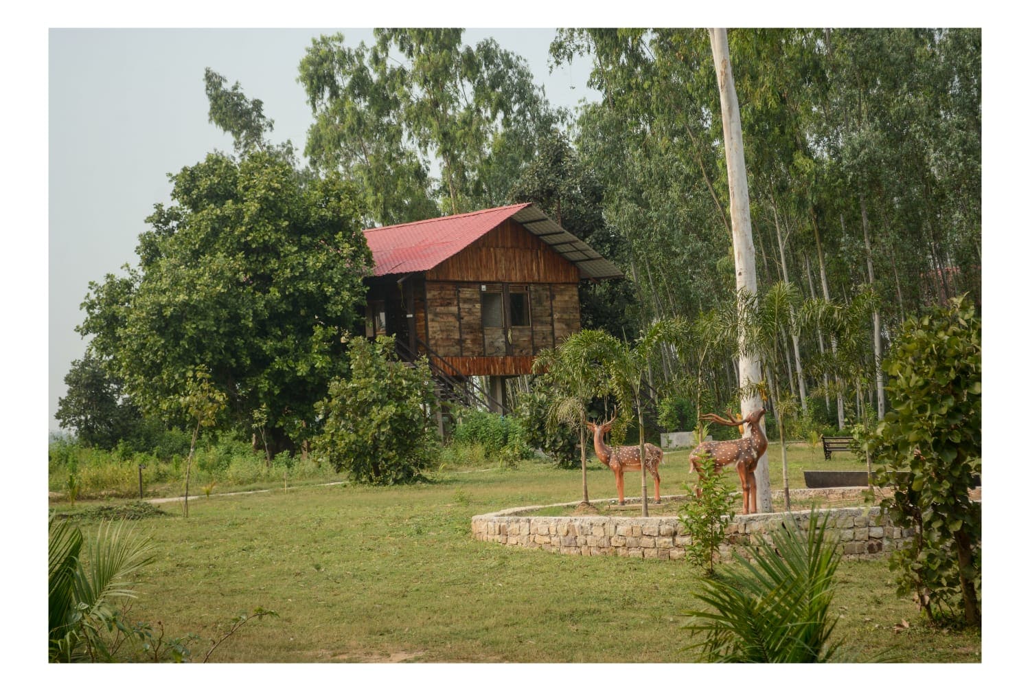 Muba's Machaan - Tap to explore photos