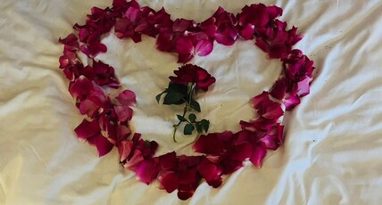 The Rohisa Bagh Resort Room Type - Couple Room 107