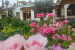 NEW MOON GUEST HOUSE