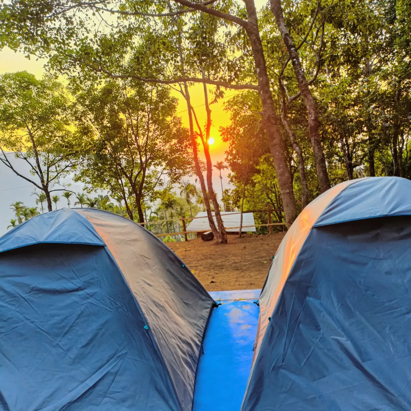 Coorg cool camp - Tap to explore photos