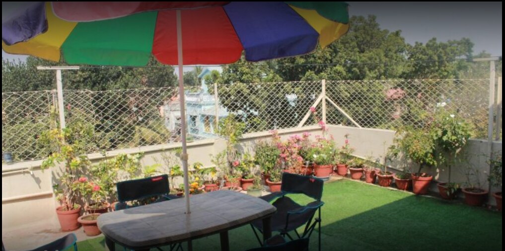 Hotel Sparrow, Pushkar - Tap to explore photos