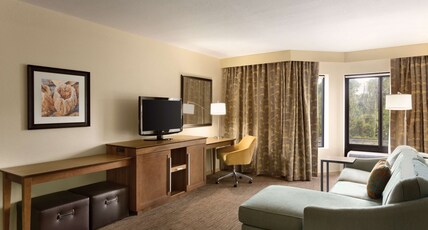 Hampton Inn & Suites by Hilton Tarpon Springs Room Type - KING SUITE-WHIRLPOOL-MICRO