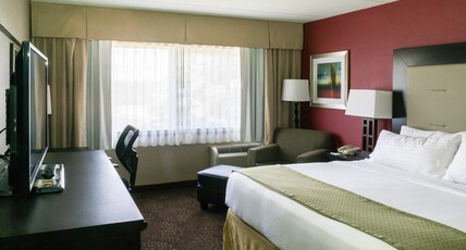 Holiday Inn BIG RAPIDS Room Type - 1 King Bed Standard