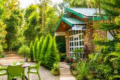 The Nature Habitat - 4BR Cottage in Dehradun