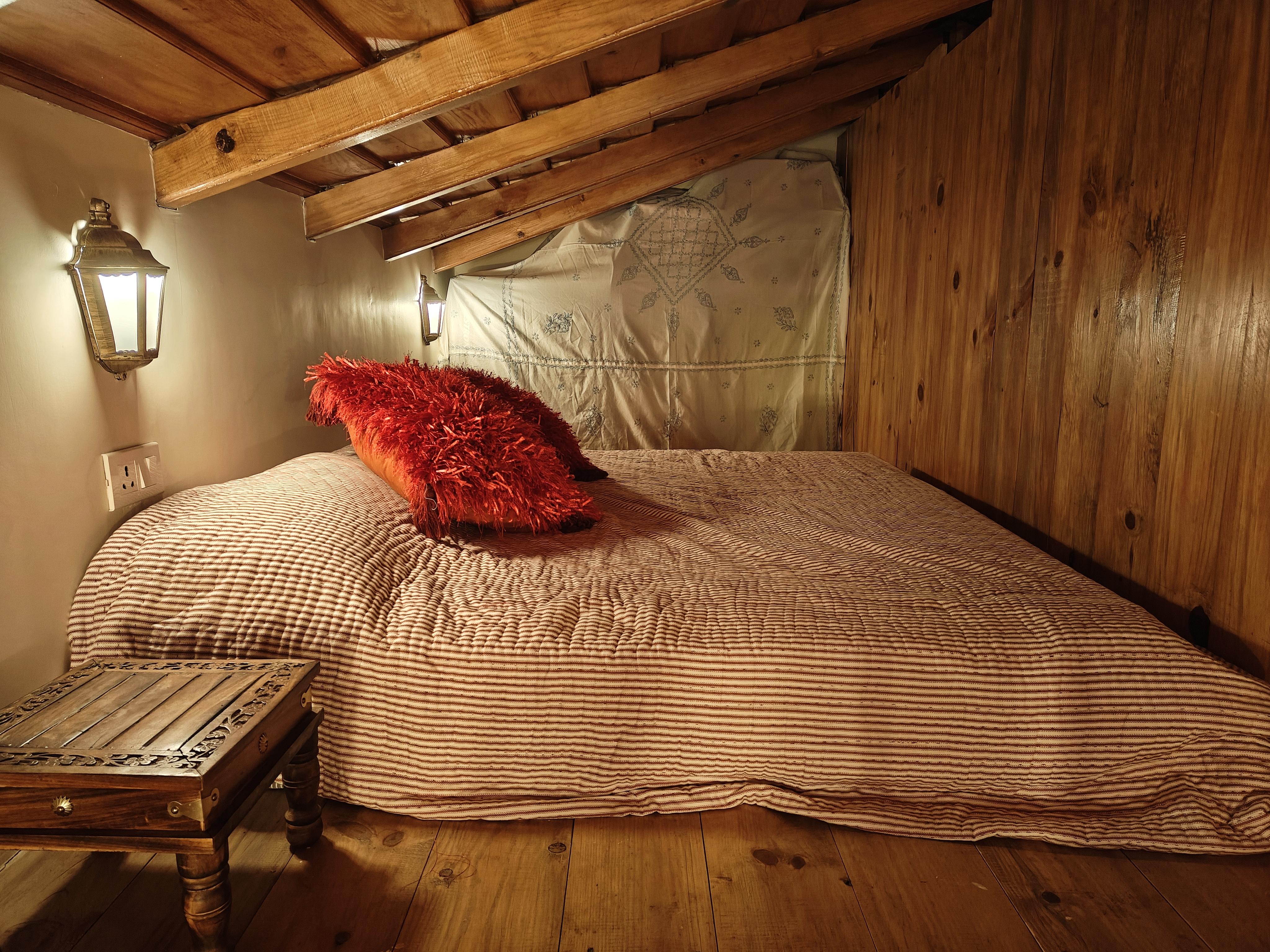 Woody Trails - Tap to explore photos