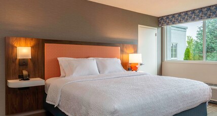 Hampton Inn Manchester Downtown Room Type - 1KNG STE MIC FRIDG WTBR
