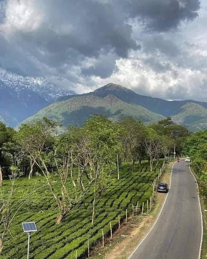 Hotel Centre Point ,Palampur - Tap to explore photos
