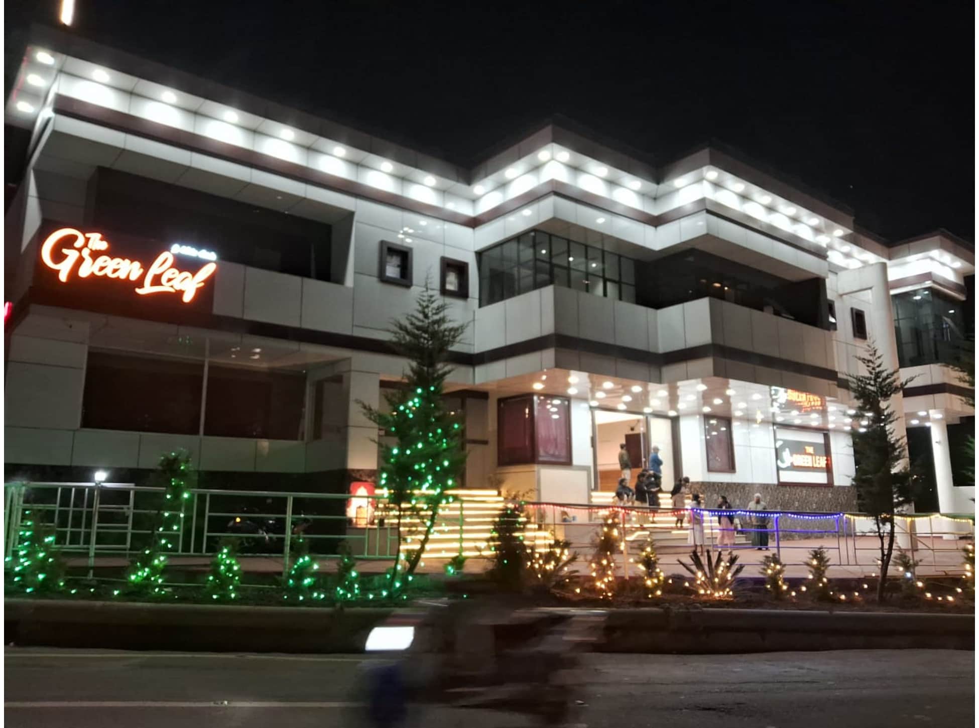 The Green Leaf - Tap to explore photos