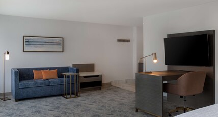 Hampton Inn by Hilton Winnipeg Downtown Room Type - 1 KNG STDO BALCONY WTBR