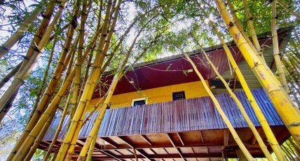 Misty Night Jungleside Resort Room Type - Tree House