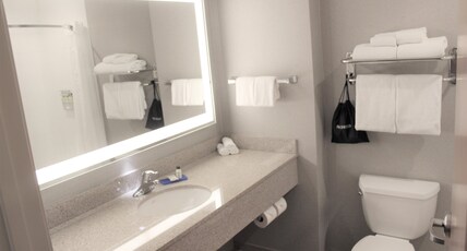 Holiday Inn Express & Suites CHENEY Room Type - 1 King Standard Extra Floor Space