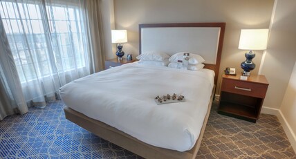 DoubleTree Suites by Hilton Atlanta - Galleria Room Type - 1KG STE ACC BATHTUB NO SMK
