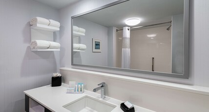 Hampton Inn by Hilton Waldorf Room Type - 1 KING W SOFABED NS