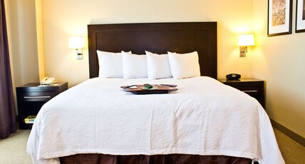 Hampton Inn & Suites Boston Crosstown Center Room Type - 1 KING STUDIO STE NONSMOK