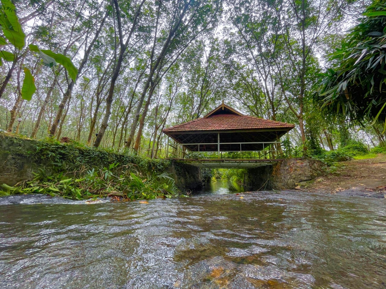 Eden Falls Resort - Tap to explore photos
