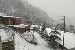 Just Naturals Wellness Resort Nainital