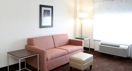 Holiday Inn O'Hare Room Type - 1 Queen Bed 1 Bedroom Suite