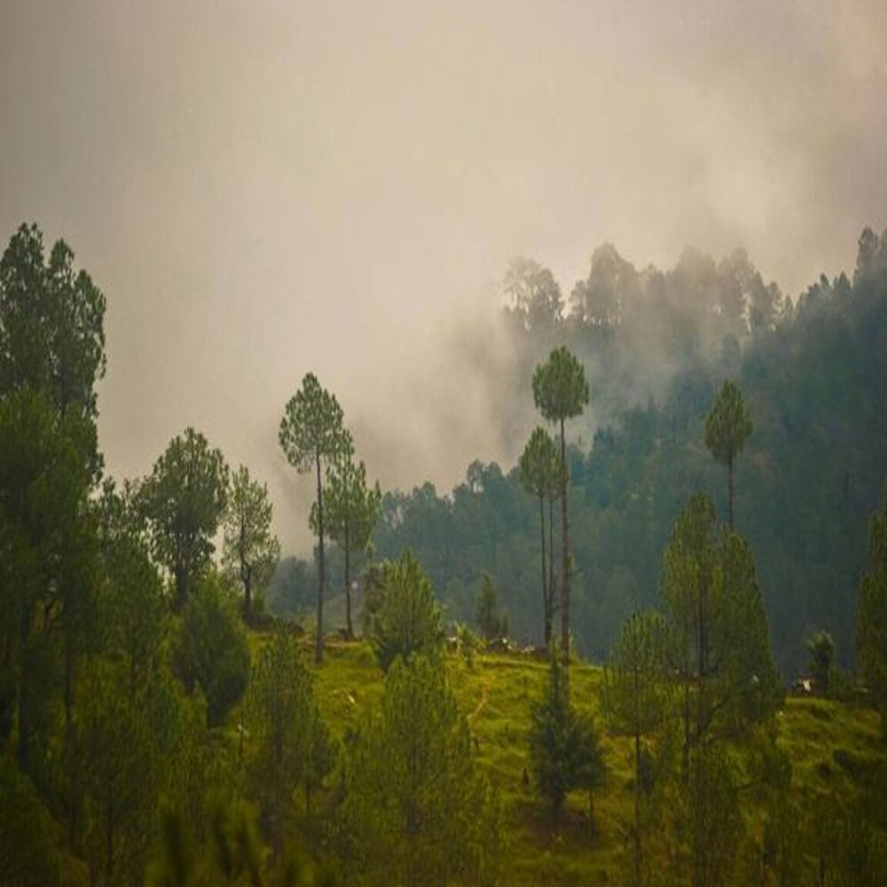 Hotel Padmashree - Tap to explore photos