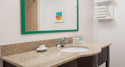 Hampton Inn Ellenton/Bradenton, FL Room Type - 1 KING STUDY W WHIRPOOL NS