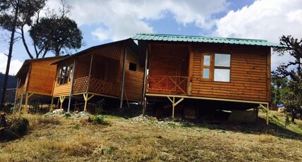 Golden Valley Cottages | Rooms & Restaurant Room Type - Tree House Cottage