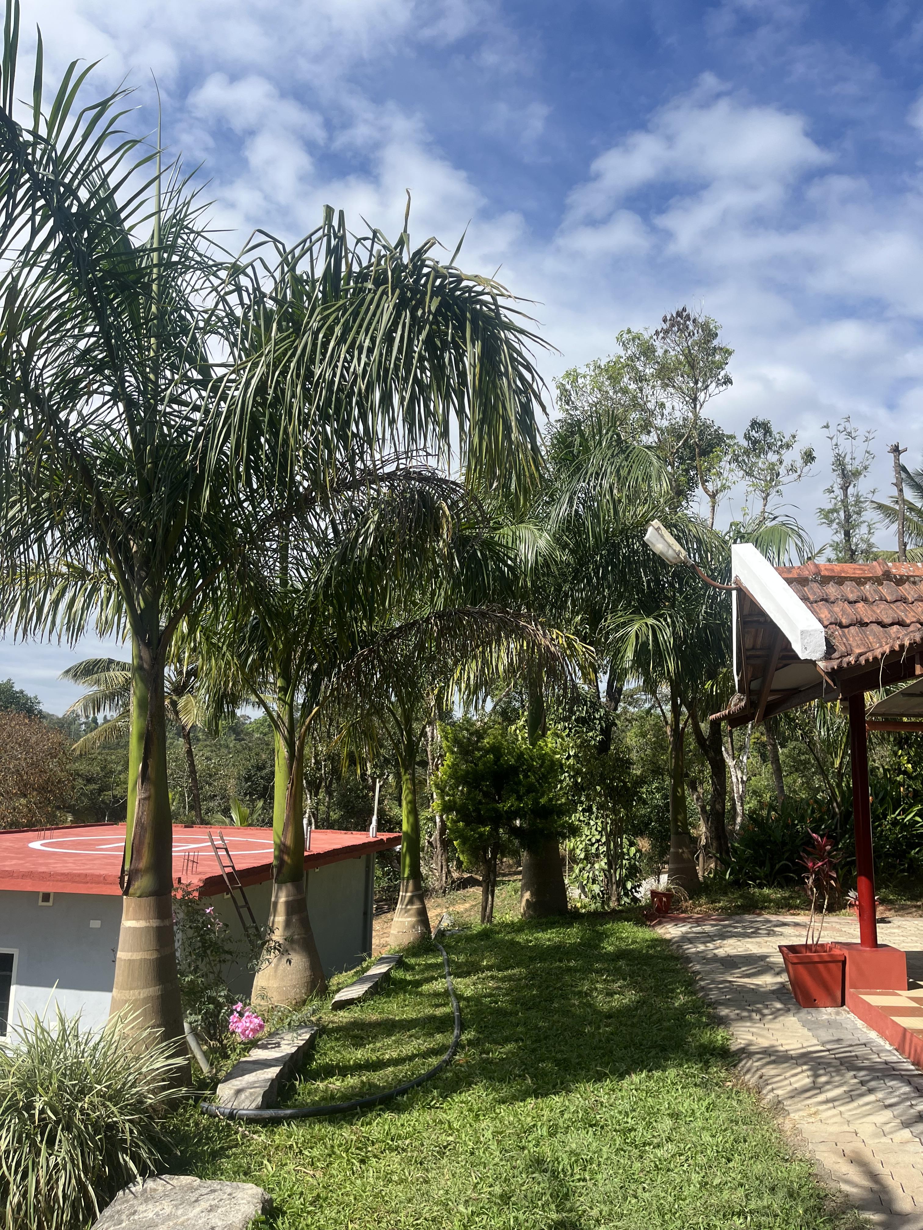 Vishalavana Homestay - Tap to explore photos