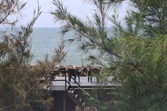 Lucas Beach House Fort Cochin